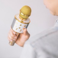 Микрофон Forever BMS-300 with bluetooth speaker, Златен