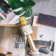 Микрофон Forever BMS-300 with bluetooth speaker, Златен